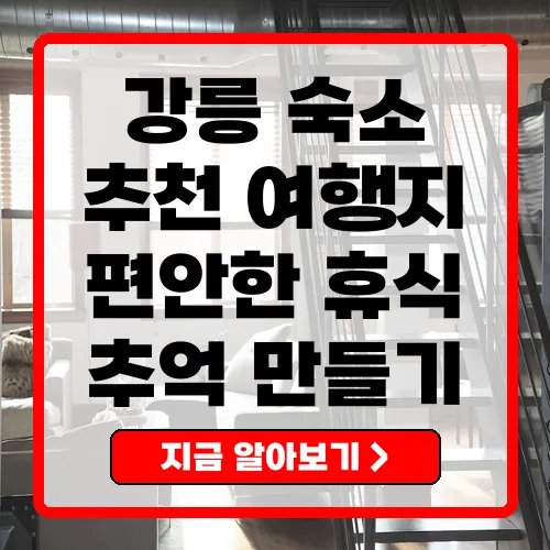 강릉 숙소 추천 특별한 여행을 위한 최고의 선택